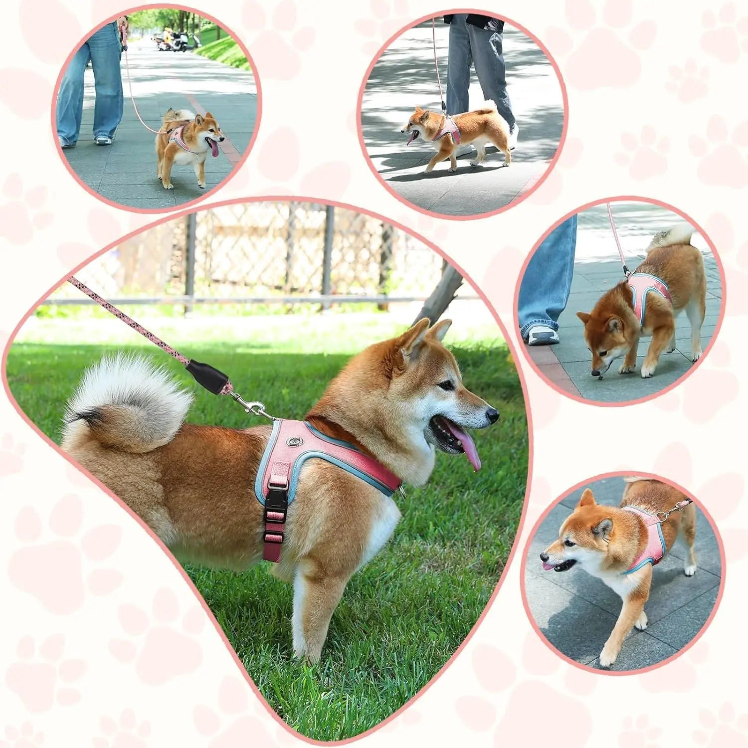 XS Size Orange Waterproof Reflective Saddle-Style Dog Harness & 1.5M Leash Set - Breathable Anti-Choke Escape-Proof Step-In Walking Gear Wholesale Hub