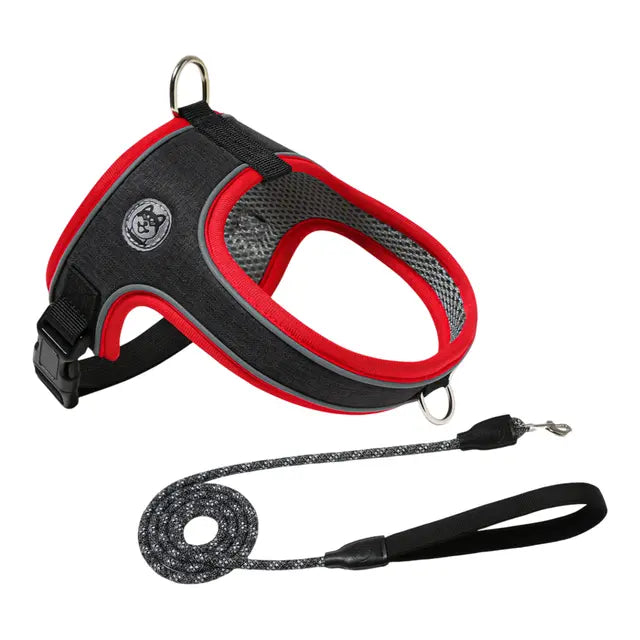 XS Size Black Waterproof Reflective Saddle-Style Dog Harness & 1.5M Leash Set - Breathable Anti-Choke Escape-Proof Step-In Walking Gear Wholesale Hub