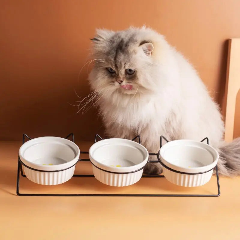 Triple Slanted Ceramic Pet Bowl Set with Elevated Iron Stand and Non Slip Base - 3 x 300ML Versatile Pink Cat Paw Print Pattern Dishes for Water & Food Wholesale Hub