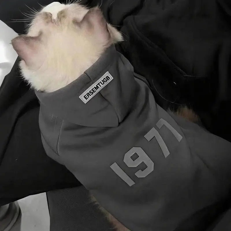 2-Pack M sizeTrendy Pet Hoodie with "1977" Print - Warm Winter Wear for Cats and Small Dogs - with Plush Lining - Beige and Dark Grey Wholesale Hub