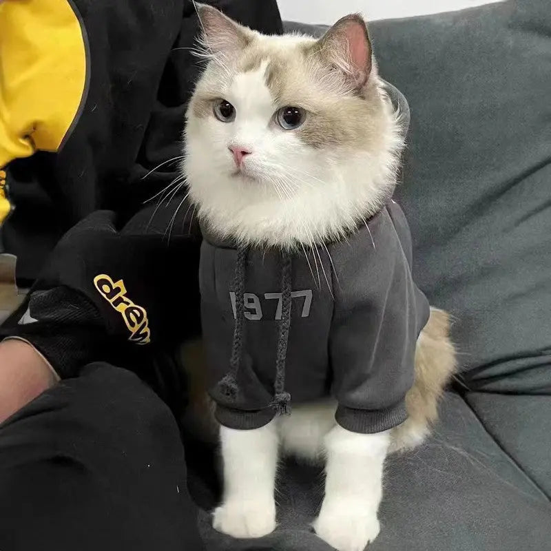 2-Pack L sizeTrendy Pet Hoodie with "1977" Print - Warm Winter Wear for Cats and Small Dogs - with Plush Lining - Beige and Dark Grey Wholesale Hub