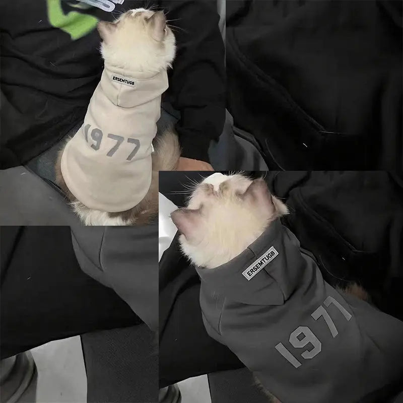 2-Pack XL sizeTrendy Pet Hoodie with "1977" Print - Warm Winter Wear for Cats and Small Dogs - with Plush Lining - Beige and Dark Grey Wholesale Hub