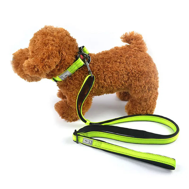Green M size Vibrant Reflective Dog Collar and Leash Set - Adjustable Nylon Pet Harness with Comfortable Padding Wholesale Hub