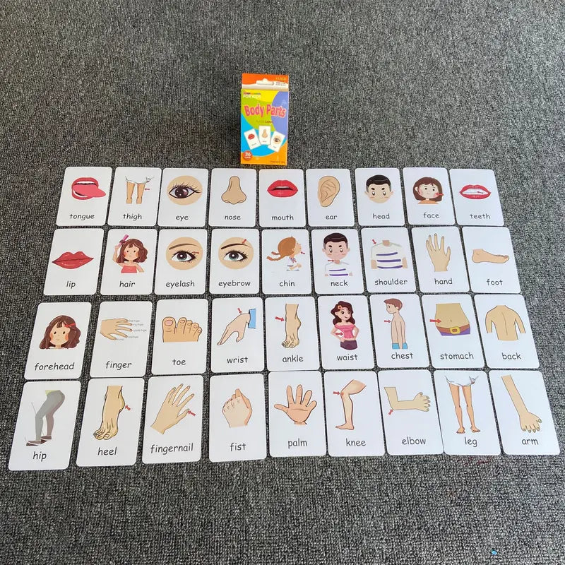 4-Set Kids Early Education Flash Cards, Montessori Cognitive Development Toys for Toddlers Ages 4+, Educational Gift for Boys Girls【Vegetables+Fruits+Colour+Body Parts】 Wholesale Hub