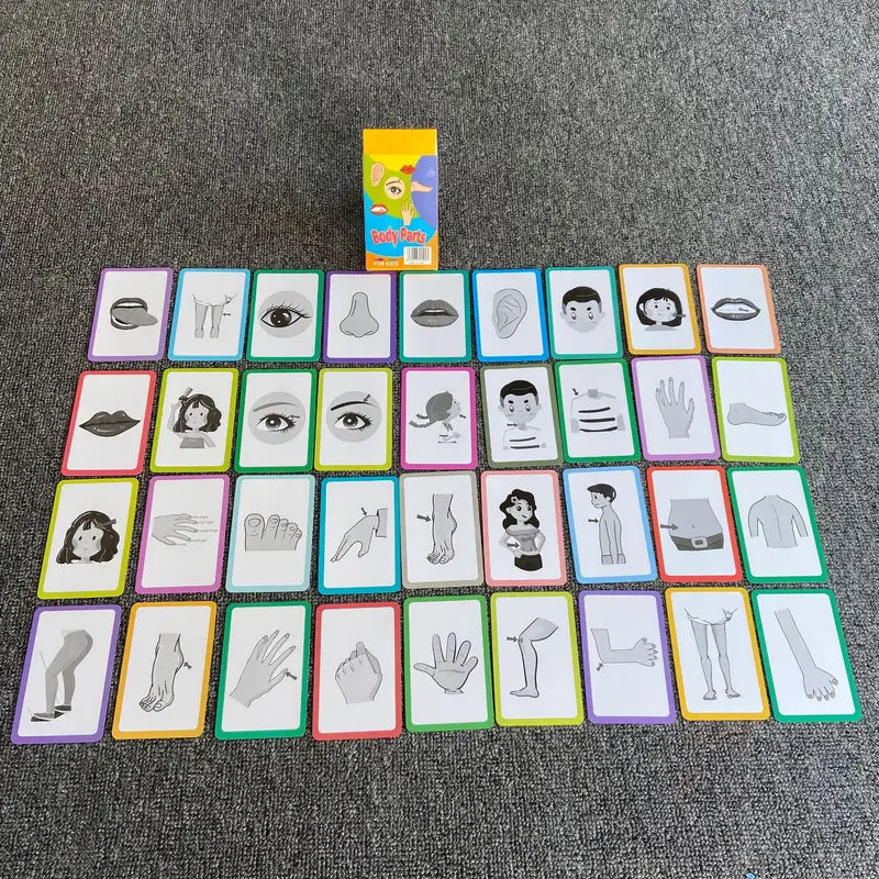 7-Set Kids Early Education Flash Cards, Montessori Cognitive Development Toys for Toddlers Ages 4+, Educational Gift for Boys Girls【Animal+Shape+Colour+Time+Vegetables+Fruits+Body Parts】 Wholesale Hub