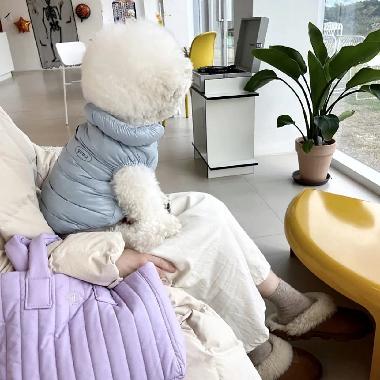 Blue M size Dog Winter Coat Quilted Puffer Jacket - Warm Cotton Padded Vest for Small Dogs, High Collar Pet Clothes for Chihuahua Yorkie Poodle Bichon Schnauzer, Lightweight Cold Weather Dog Apparel with Elastic Cuffs Wholesale Hub
