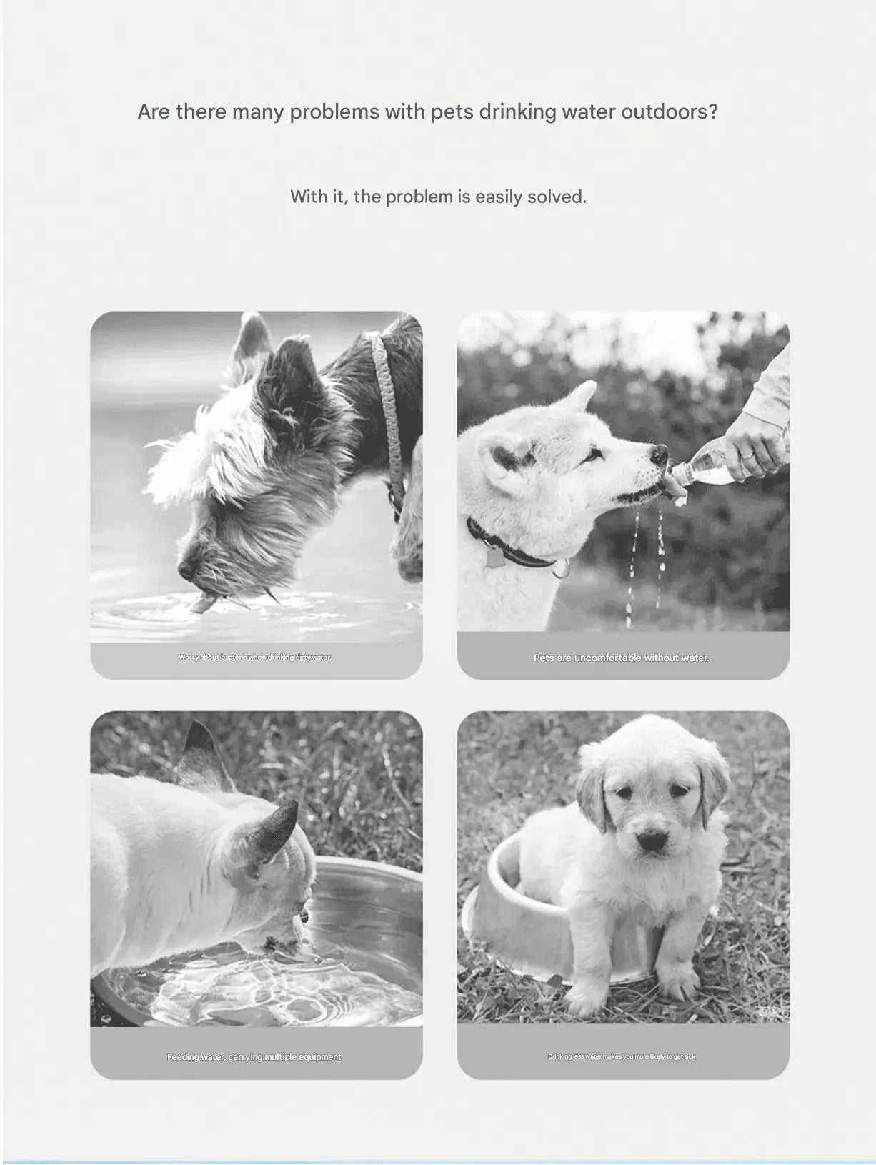 White 350ml Portable Dog Water Bottle - Leak-Proof Pet Travel Water Dispenser, Cloud-Shaped Drinking Bowl, Twist-to-Dispense Design, BPA-Free HIPS/PET Material for Walking Hiking Travel Wholesale Hub