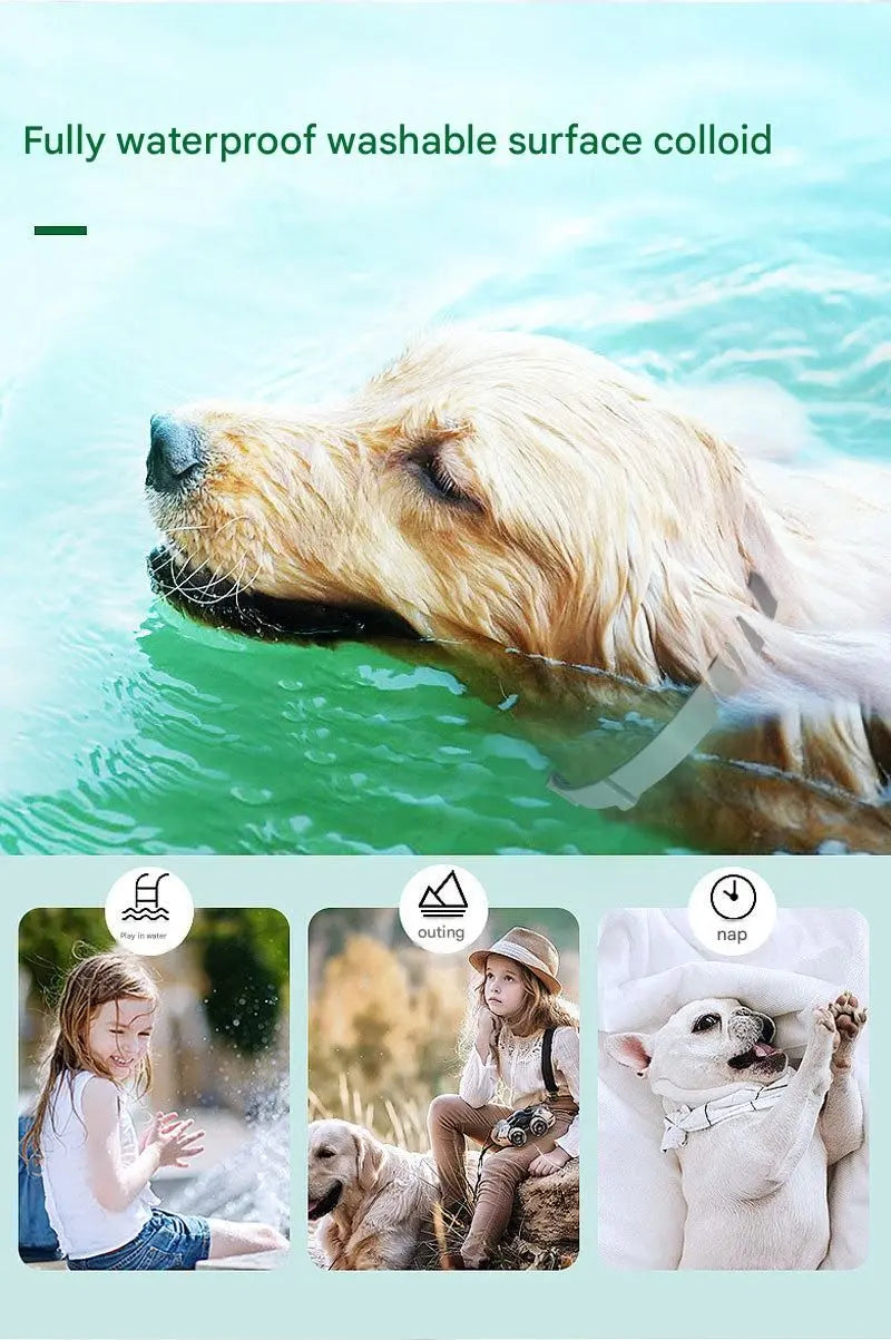 2-piece Grey 62cm Adjustable Flea and Tick Collar for Dogs and Cats - 8 Month Protection, Waterproof TPR Design with Safety Release - Repels Fleas, Ticks, and Mosquitoes for Small to Large Pets Wholesale Hub