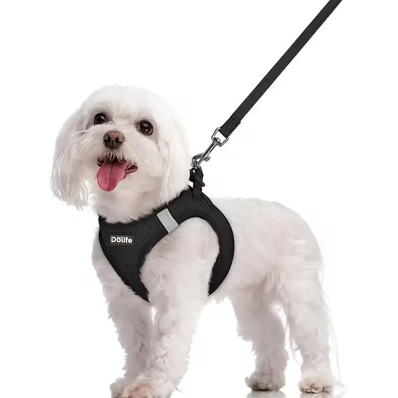 Black Breathable Dog Harness and Leash Set - Adjustable Reflective Pet Vest with Swivel Clip(Size: XS) Wholesale Hub