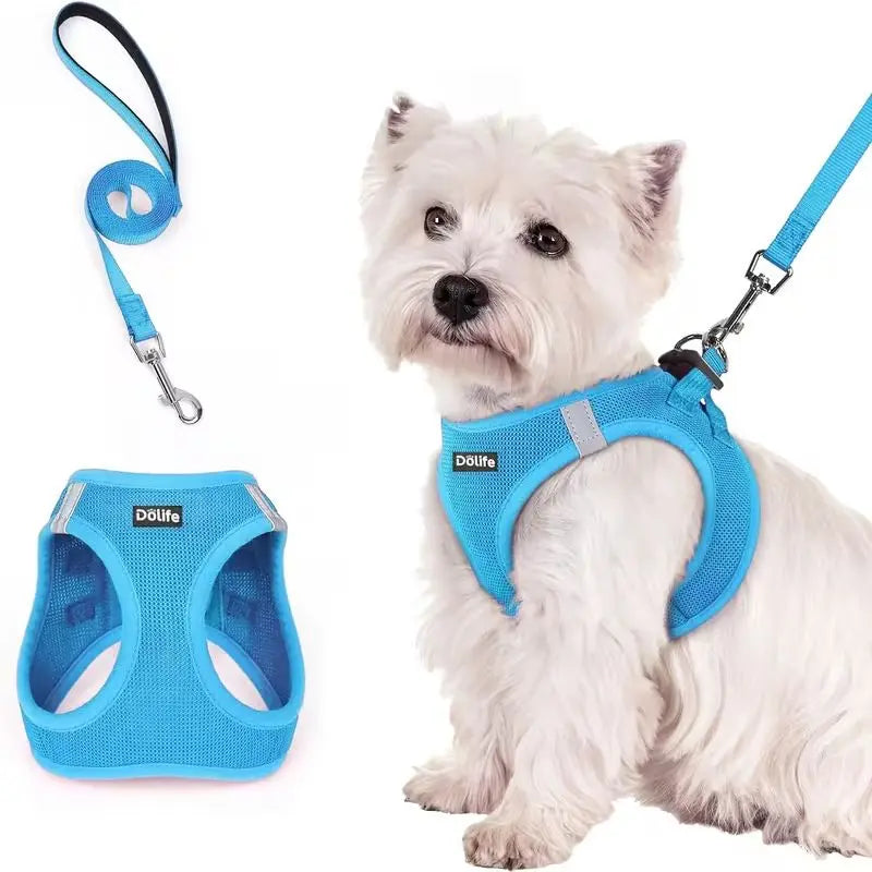 Blue Breathable Dog Harness and Leash Set - Adjustable Reflective Pet Vest with Swivel Clip(Size: L) Wholesale Hub