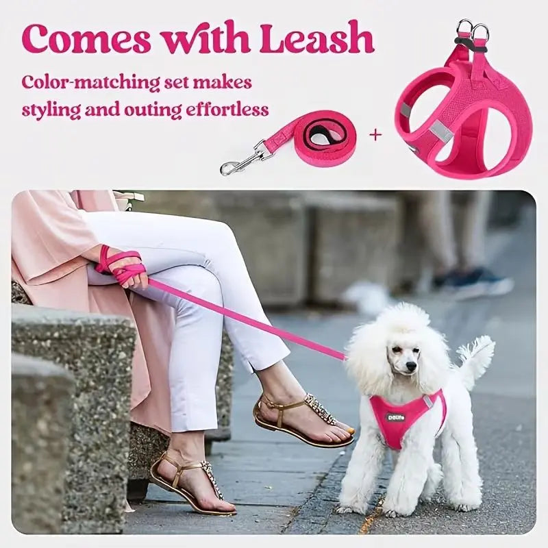 Orange Breathable Dog Harness and Leash Set - Adjustable Reflective Pet Vest with Swivel Clip(Size: XS) Wholesale Hub