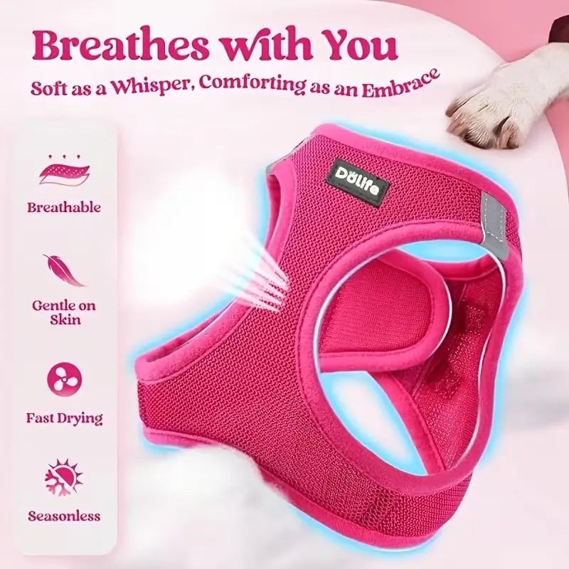 Orange Breathable Dog Harness and Leash Set - Adjustable Reflective Pet Vest with Swivel Clip(Size: S) Wholesale Hub