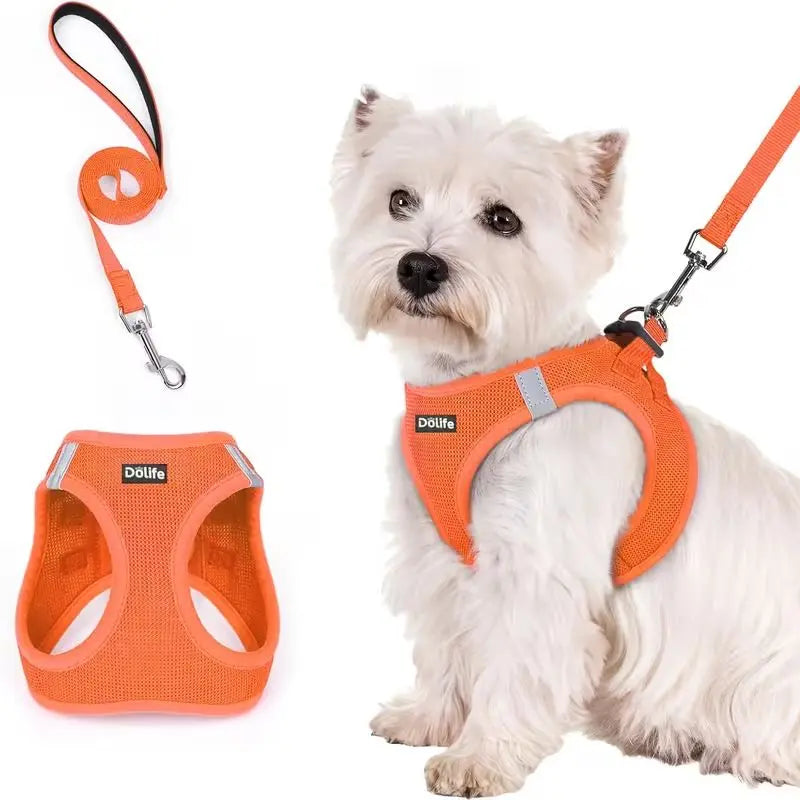 Orange Breathable Dog Harness and Leash Set - Adjustable Reflective Pet Vest with Swivel Clip(Size: L) Wholesale Hub