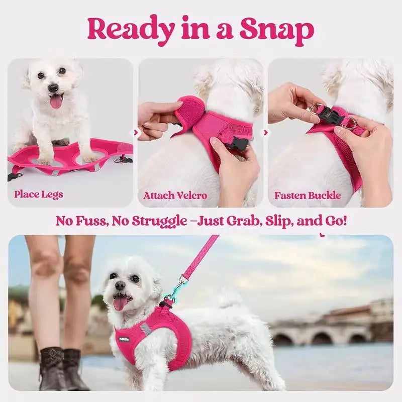 Orange Breathable Dog Harness and Leash Set - Adjustable Reflective Pet Vest with Swivel Clip(Size: L) Wholesale Hub