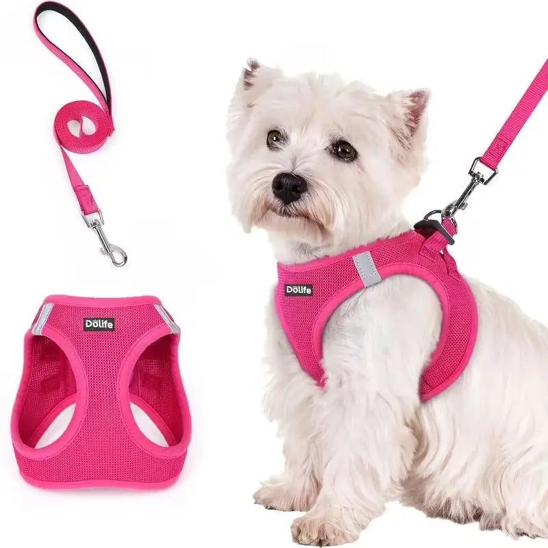 Rose red Breathable Dog Harness and Leash Set - Adjustable Reflective Pet Vest with Swivel Clip(Size: M) Wholesale Hub