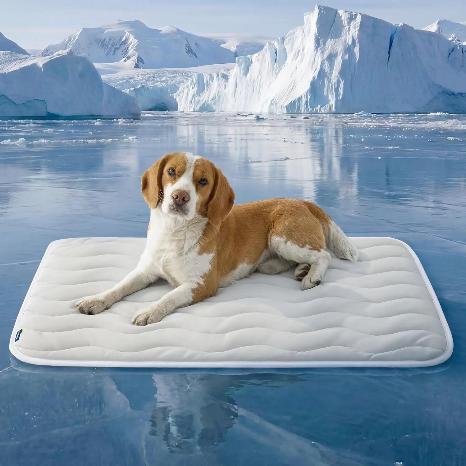 91 x 58 CM Grey Premium Wave Quiltied Pet Cooling Mat - Washable Self-Cooling Blanket with Anti-Stick Hair Surface & Non-Slip Base for Cats Dogs and Human Versatile Use Wholesale Hub