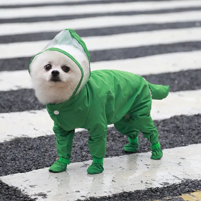 Green M size Full Coverage Pet Raincoat Jumpsuit Waterproof Dog Rain Suit with Attached Shoes and Tail Cover-Lightweight Hooded Dog Poncho for Small Dogs Wholesale Hub