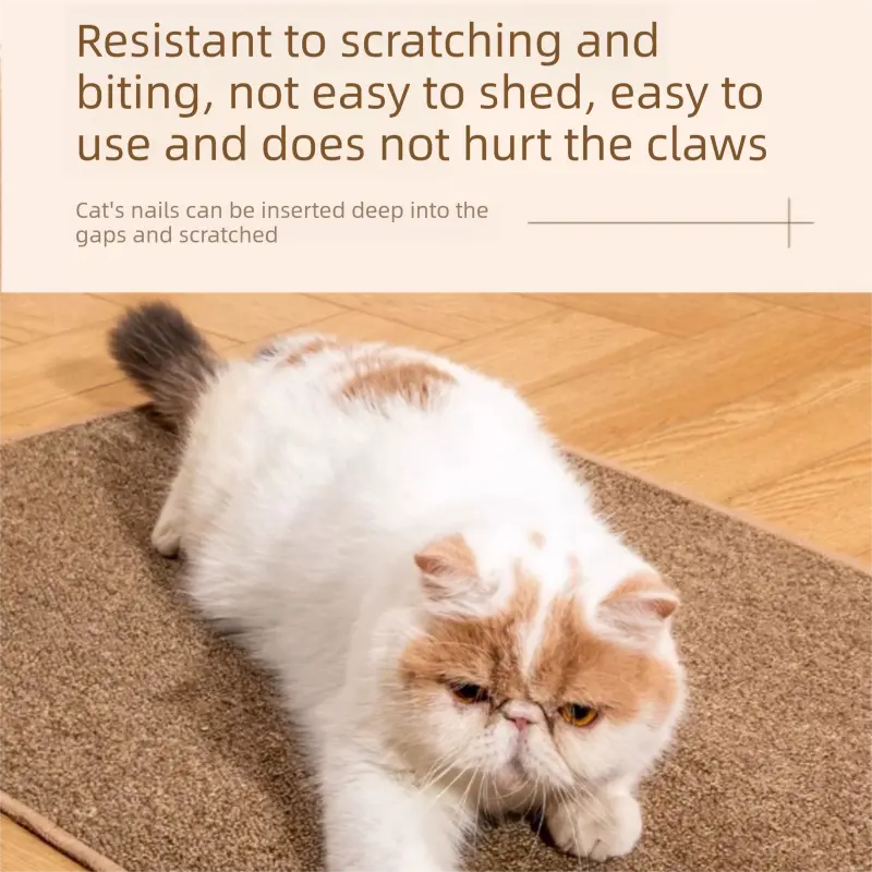 Brown S size 40*60cm Soft Cat Scratching Mat & Lounge Bed – Durable Furniture Protector Rug, Washable Scratch Pad for Cats and Small Pets Wholesale Hub