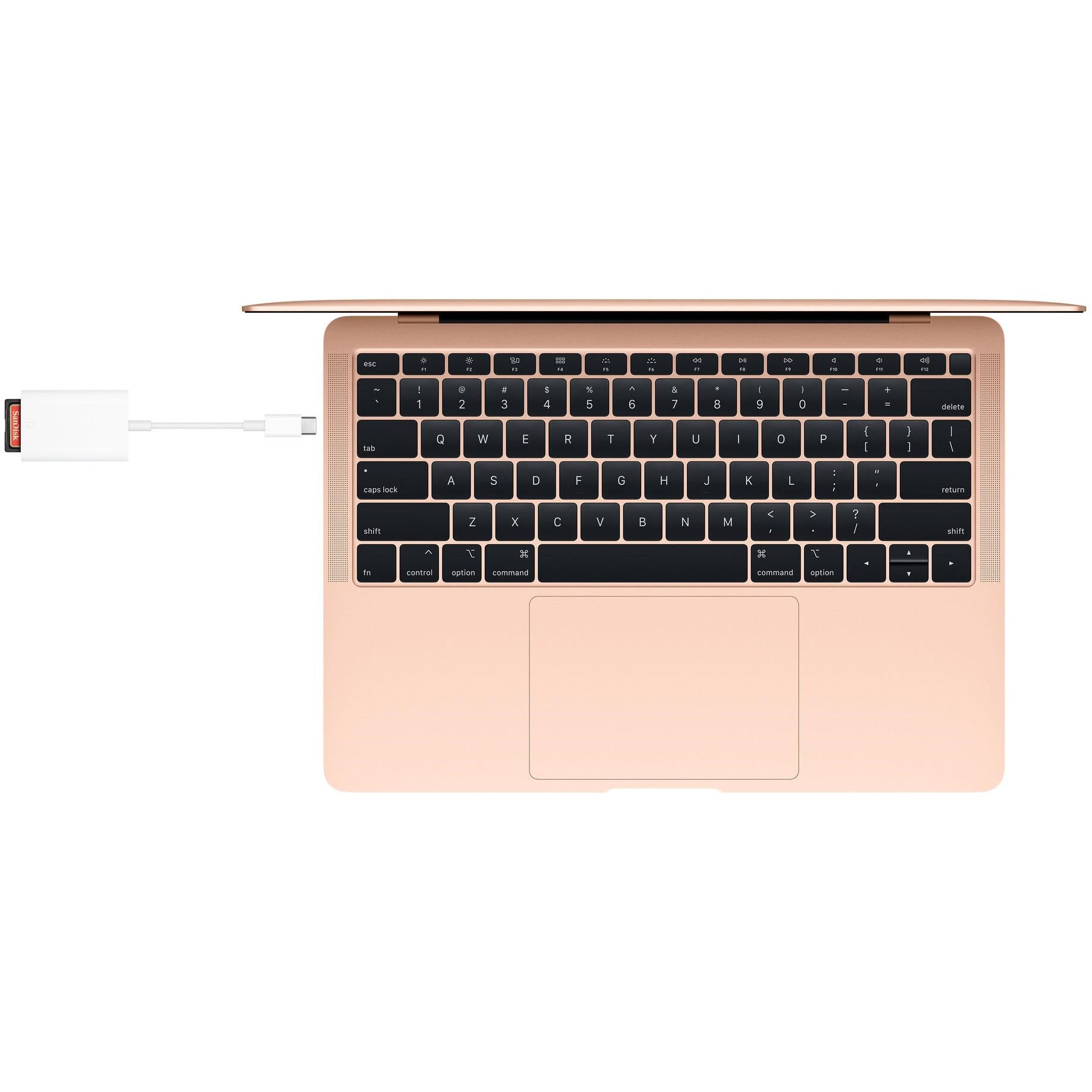 Apple USB-C to SD Card Reader