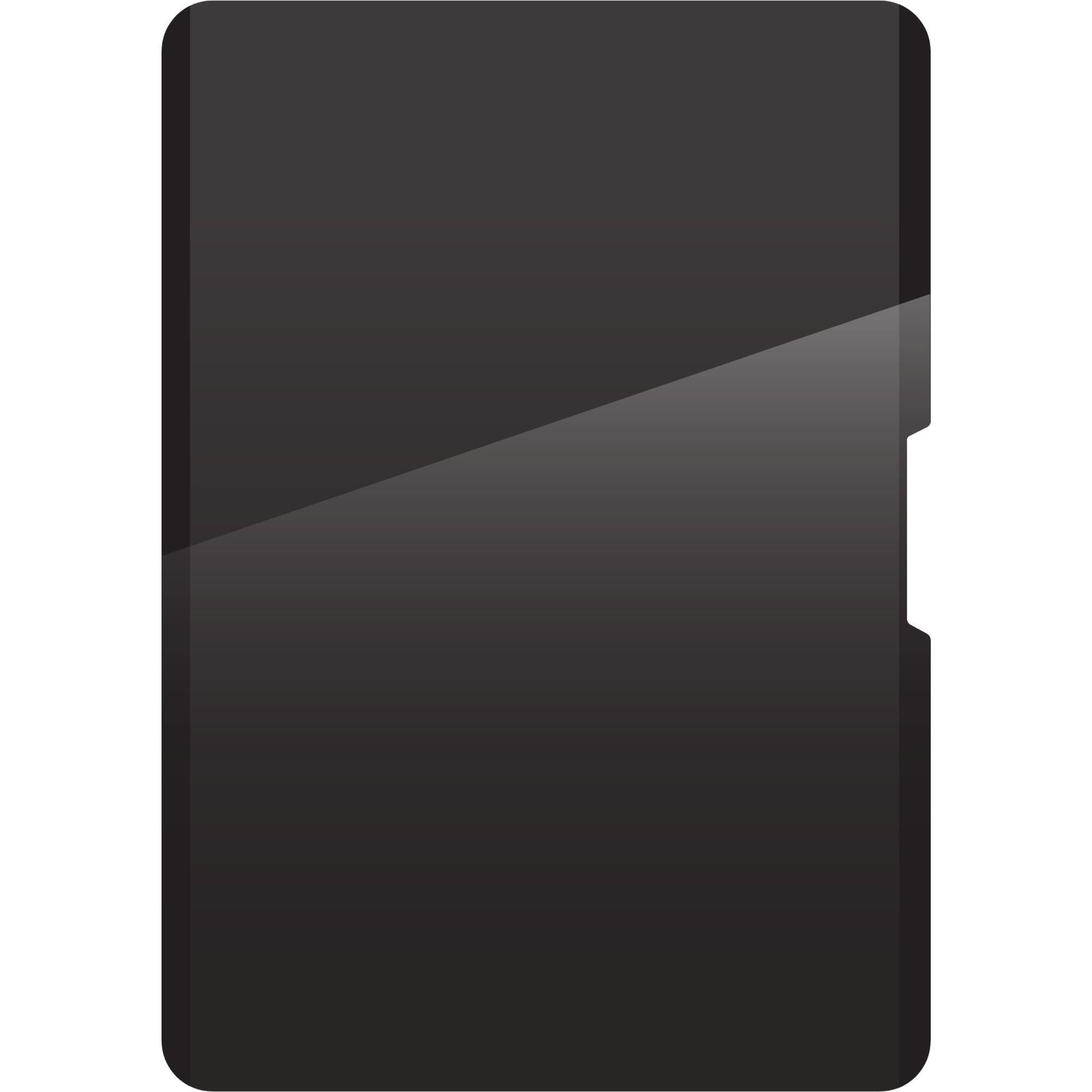 ZAGG Removable 4-Way Privacy Filter for Apple iPad Pro 11' (M5/M4) & iPad Air 13” (M4/M3/M2)