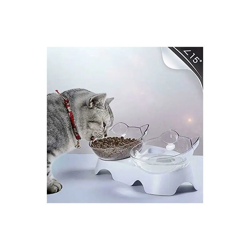 Double Cat Bowls, Orthopedic Pet Bowl Anti-vomiting, Cat Food Bowl Water Bowl Dog Bowl, Angled Cat Bowl Protects the Spine, 15° Inclined Bowl Wholesale Hub