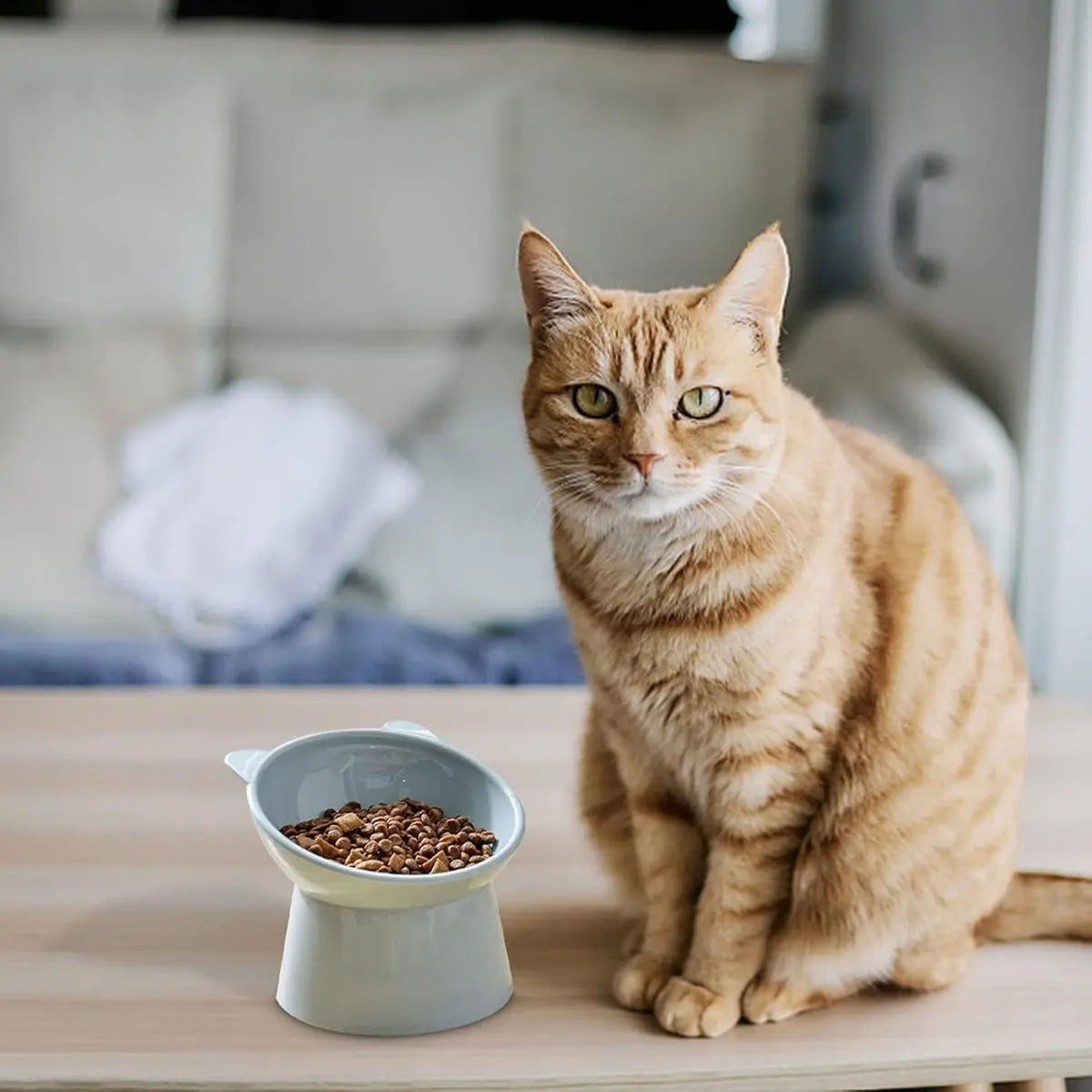 Cat bowl - Feeders - Tilting bowl - Anti-vomiting - Angled design - Blue - Perfect for cats - Indoor use - Pet accessories - Blue Wholesale Hub