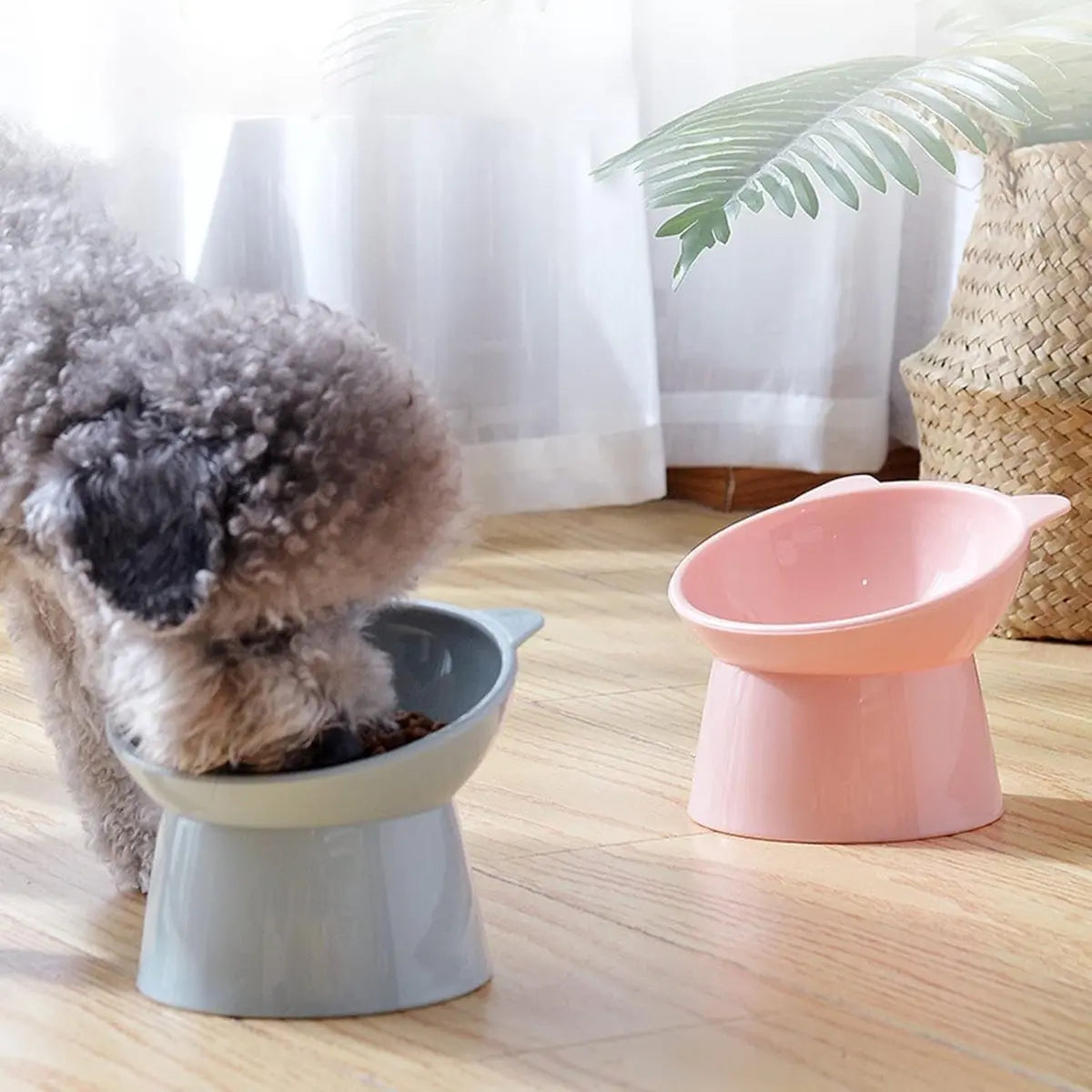 Cat bowl - Feeders - Tilting bowl - Anti-vomiting - Angled design - Blue - Perfect for cats - Indoor use - Pet accessories - Blue Wholesale Hub