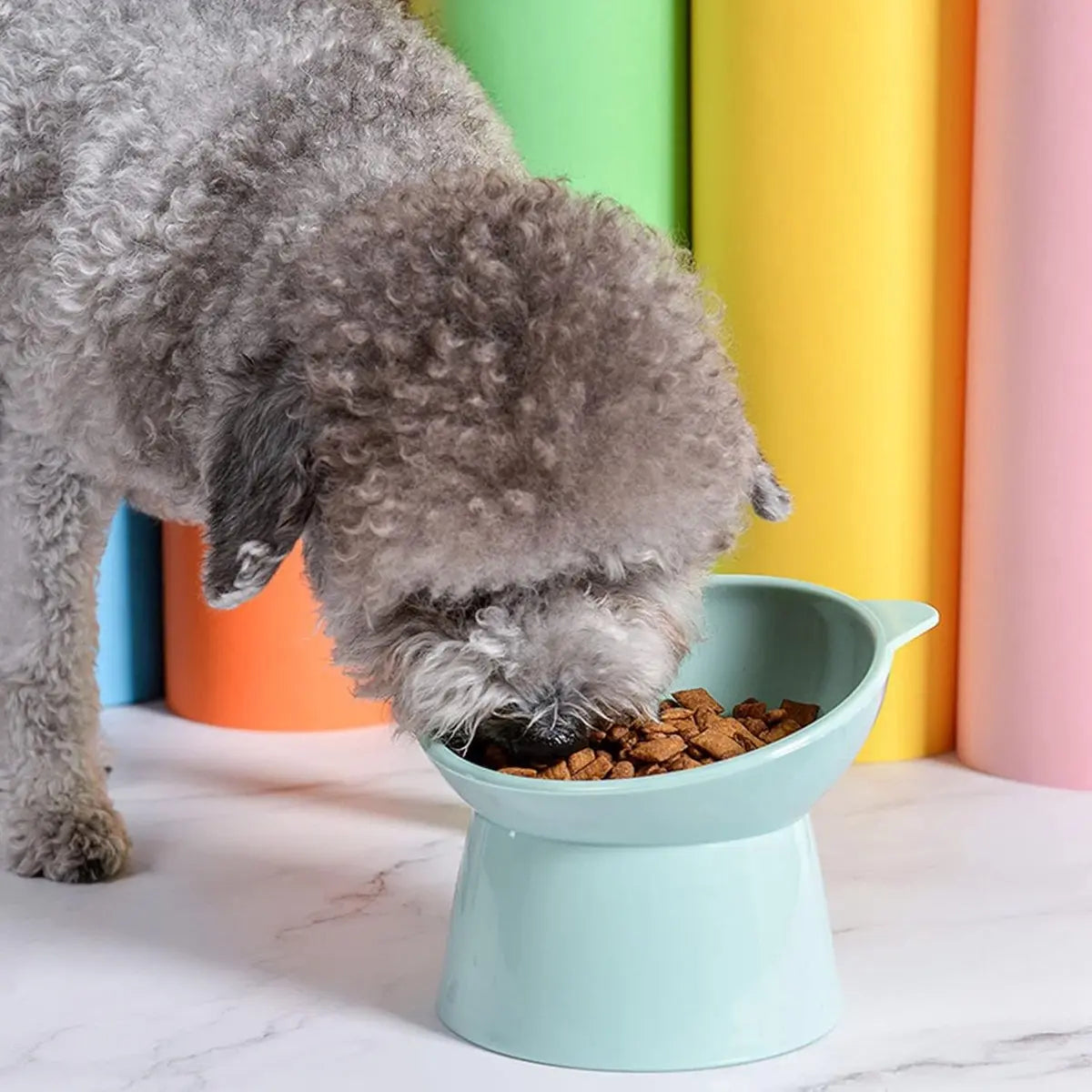 Cat bowl - Feeders - Tilting bowl - Anti-vomiting - Angled design - Blue - Perfect for cats - Indoor use - Pet accessories - Green Wholesale Hub