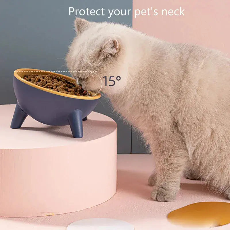 Cat and Dog Non-Breakable Bowl With Stand, Durable, Heat Resistant - Rose red Wholesale Hub