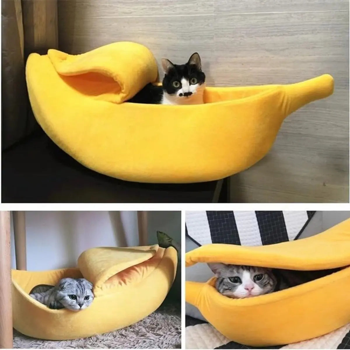 Cat Basket - Creative Cat Basket - and Cat Kennel - Warm and soft plush puppy mat - Cute fruit design for cats, kittens and dogs - 55 x 20 x 15 cm(M) Wholesale Hub