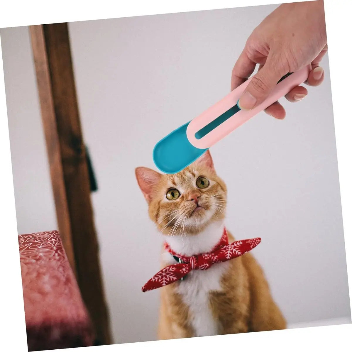 Cat Treats Spoon - 2 Pieces - Cat Food Bowl - Cat Food Bowl - Feeding Spoon - Cat Bar Spoon - Cat Treats Spoon - Snack Spoon for Pets - Feeder Dispenser - Cat Treats Spoon - Cat Food - Adjustable - For Squeezing Out Puree and Snacks Wholesale Hub