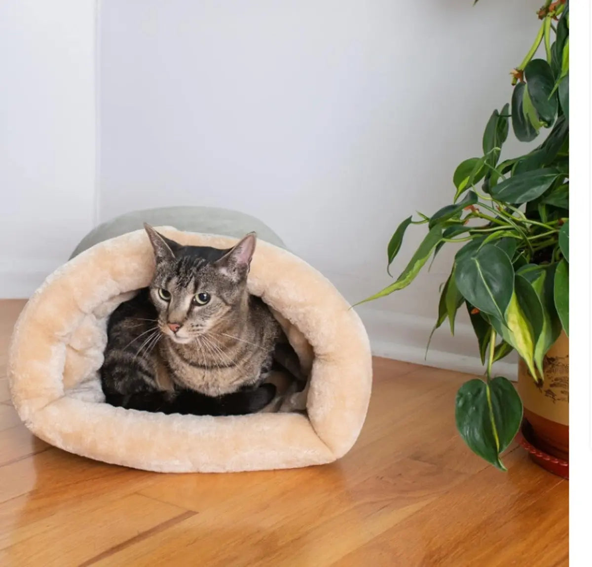 Cat Bed - Cat Basket - Winter Warm - Pet Basket - Autumn/Winter Dog Bed - Pet Cat - Puppy - Cat Bed - Warm - 65*48cm Wholesale Hub