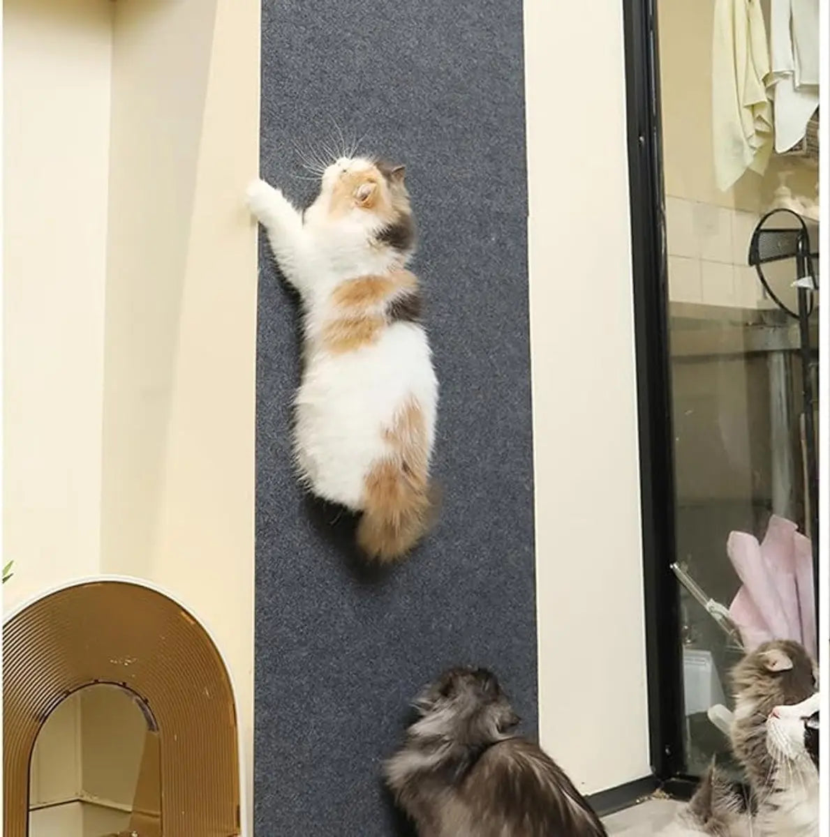 Premium Cat Scratching Mat - Couch Cushions - Strong adhesion, for ultimate fun for your cat - Protects your furniture, lets your cat have fun (Dimensions: 30x30 cm, Off-white, Pack of 2) Wholesale Hub