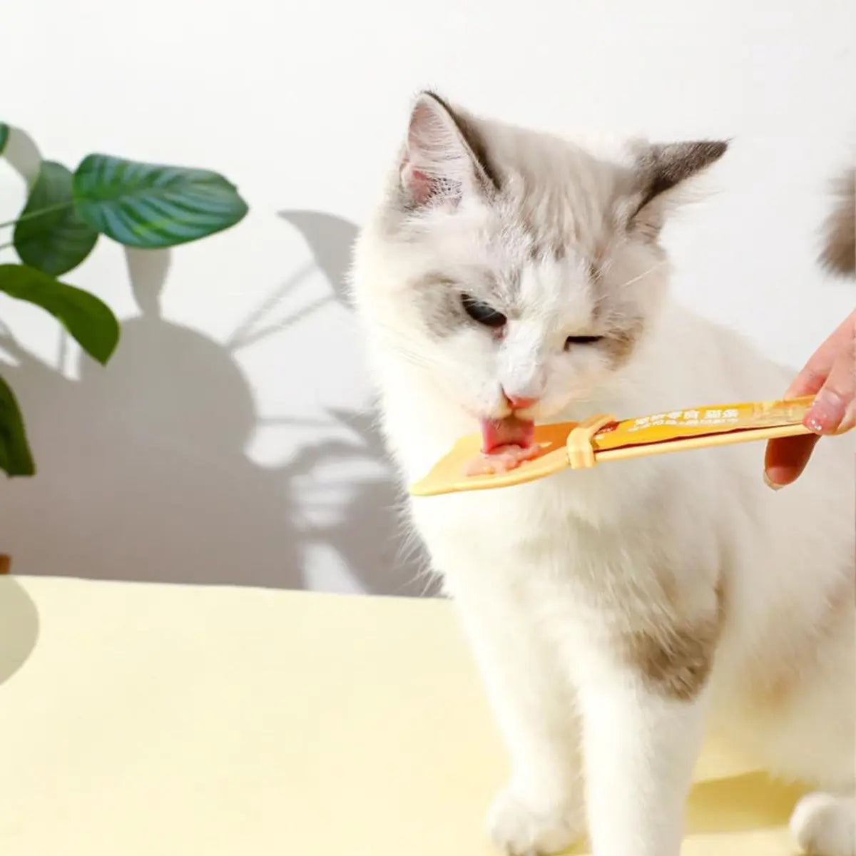 spoon for cats - Squeeze spoon for cat food - Feeding spoon for cat treats - Feeding spoon for wet food - Lick spoon for liquid cat food - Set of 3 Wholesale Hub