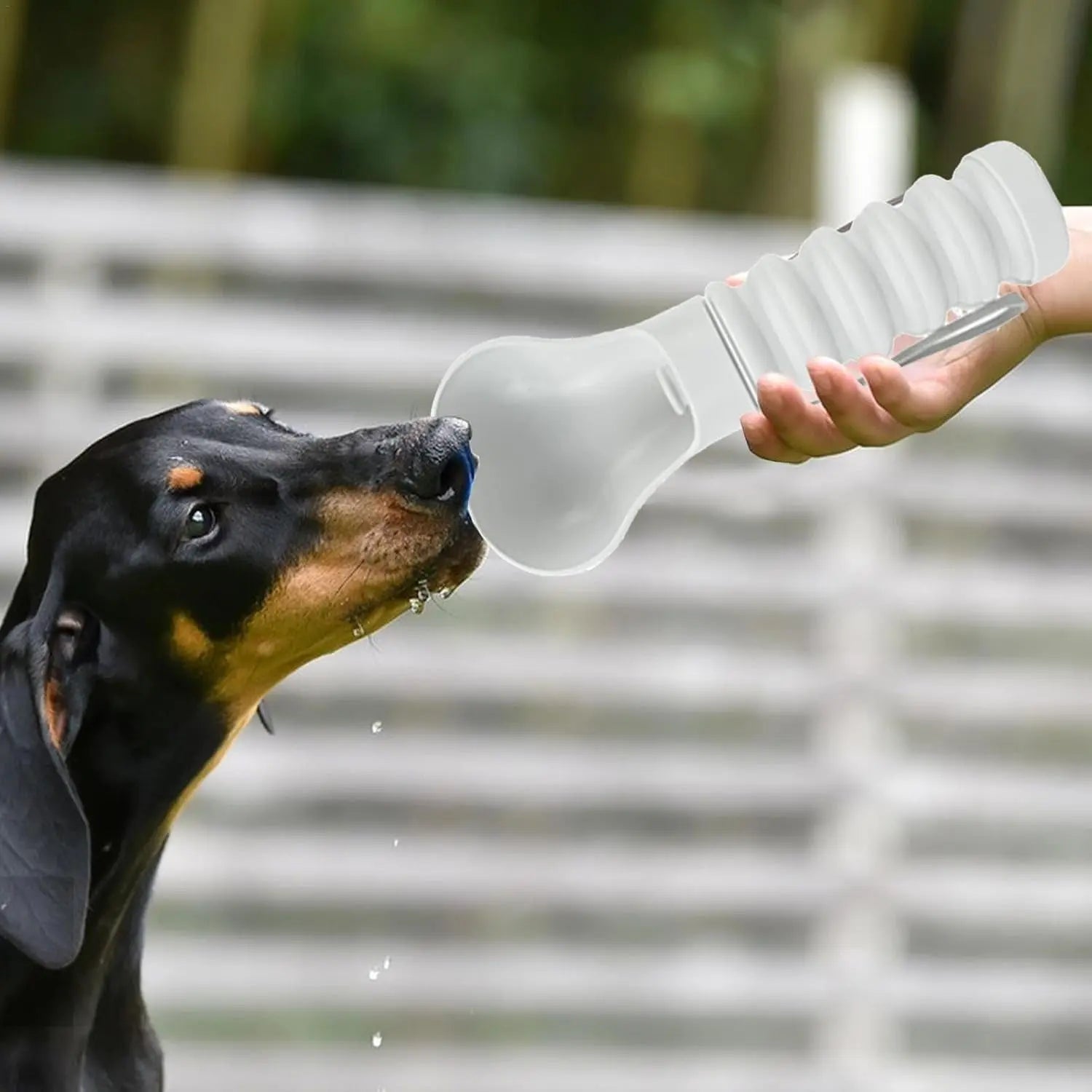 Pet Drinking Fountain - Foldable - Portable - Outdoor - 1pc Wholesale Hub