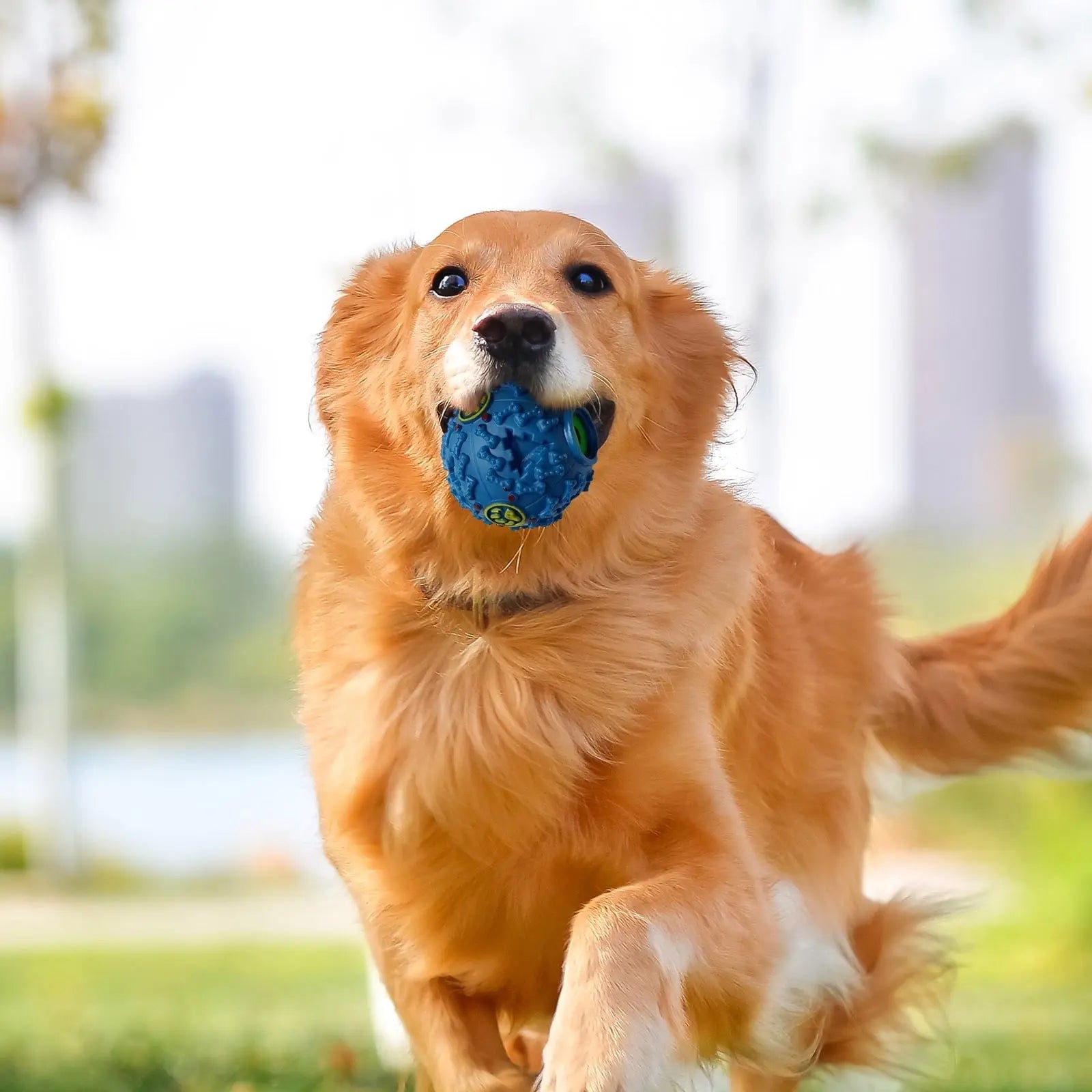 Pawcia Giggle Sound Ball, Pawcia Giggle Sound Dog Ball, Pawcia Ball, Pawcia Dog Ball, Pawcia Giggle Dog Ball, Pawcia Giggle Sound Dog Ball B Wholesale Hub