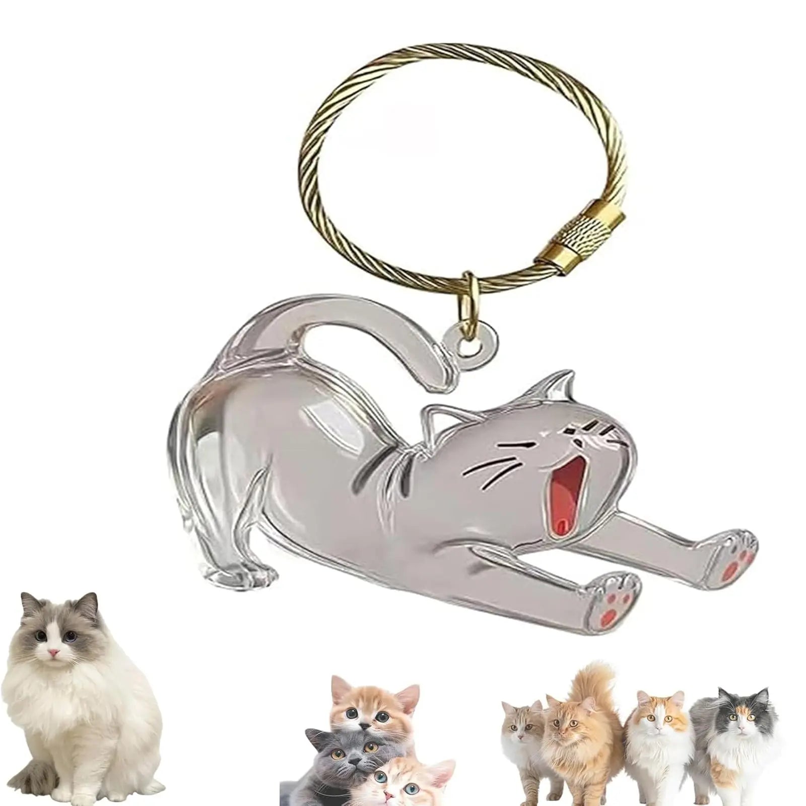 Keychain - Pet Hair - Storage Box - Pendants - Capsule Toy - Dog Hair Capsule - Memorial Pendant - Bag Keychain - Pendants - Memory Capsule Pendant - Cat Hair Collection - DIY - 1 Piece Wholesale Hub