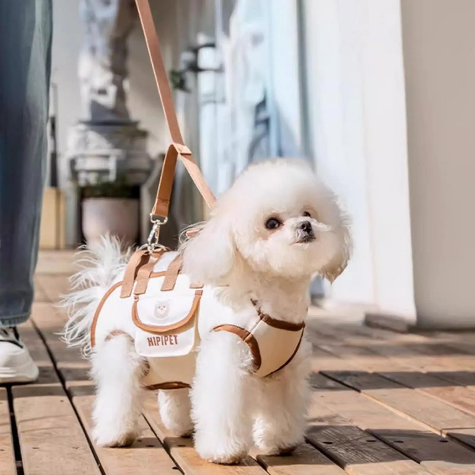 Dog Bag - Dog Carrier Bag - Dog Basket - Dog Cushion - Dog Coat - Dog Accessories - Cat Travel Basket - Dog Supplies - Puppy Bag - Dog Clothing - Cat Transport Box - Cat Basket - Travel Bag - White - 1 Piece Wholesale Hub