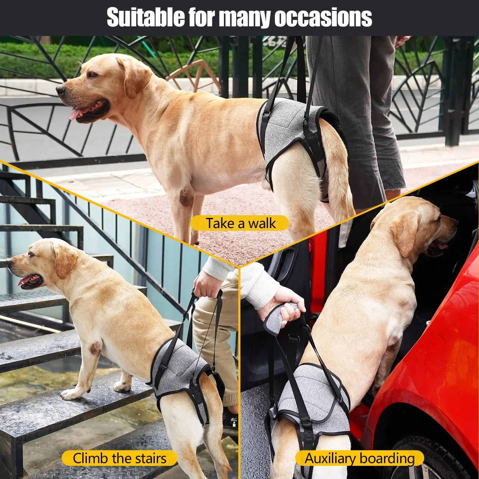 Dog Sling for Large Dogs Hind Leg Adjustable Dog Lift Harnesses For Walking/Climbing Pet Auxiliary Slings for Elderly, Disabled Dogs M Wholesale Hub