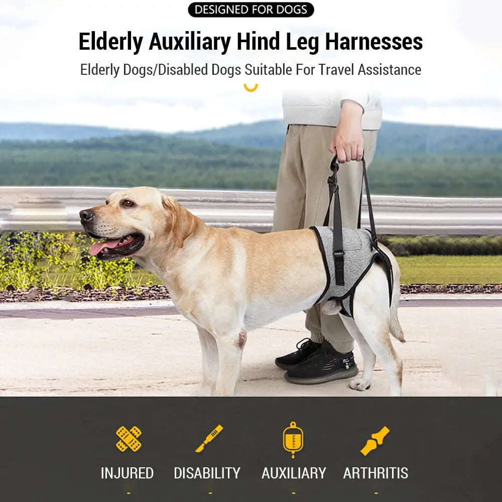 Dog Sling for Large Dogs Hind Leg Adjustable Dog Lift Harnesses For Walking/Climbing Pet Auxiliary Slings for Elderly, Disabled Dogs M Wholesale Hub