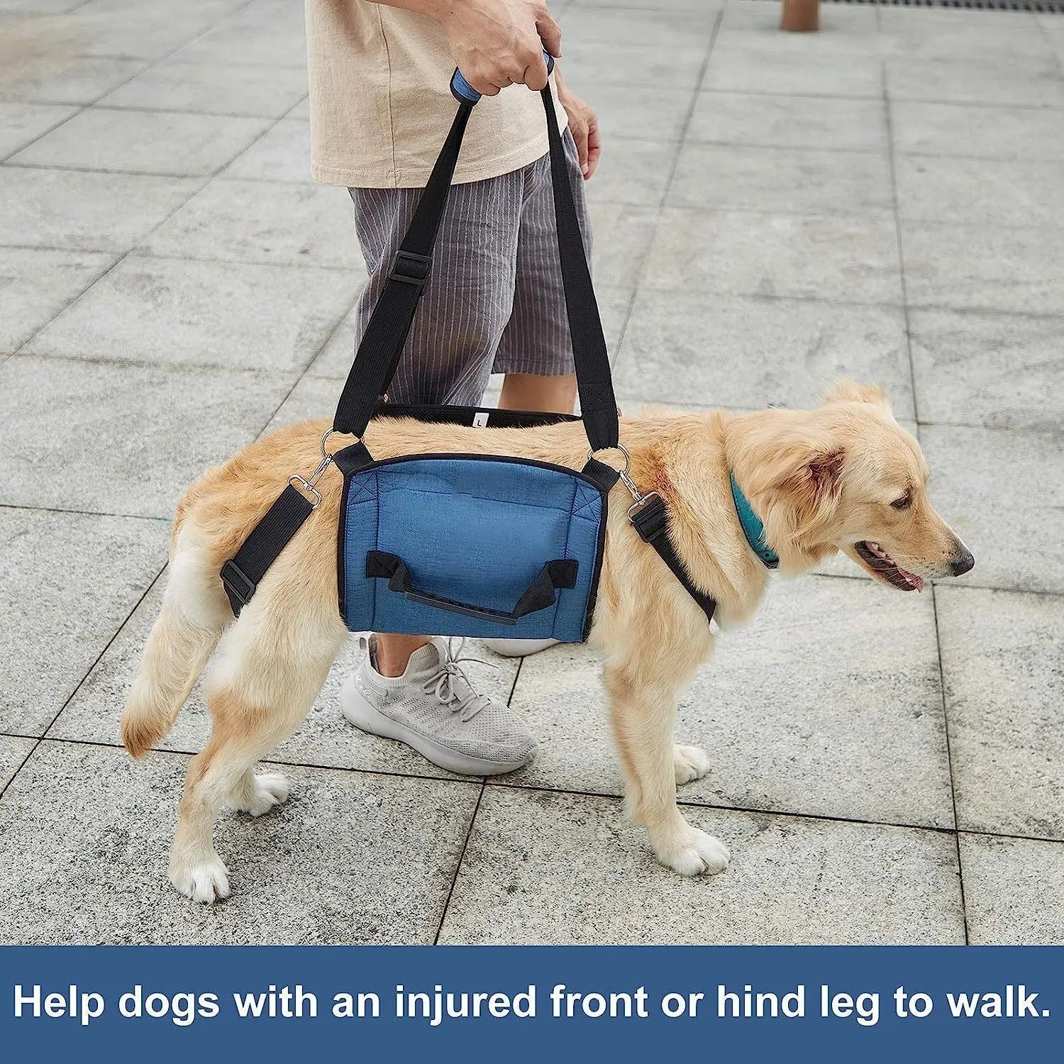 Dog Carry Sling, Emergency Backpack Pet Legs Support & Rehabilitation Dog Lift Harness for Nail Trimming, Dog Carrier for Senior Dogs Joint Injuries, Arthritis, Up and Down Stairs(L, Blue) Wholesale Hub