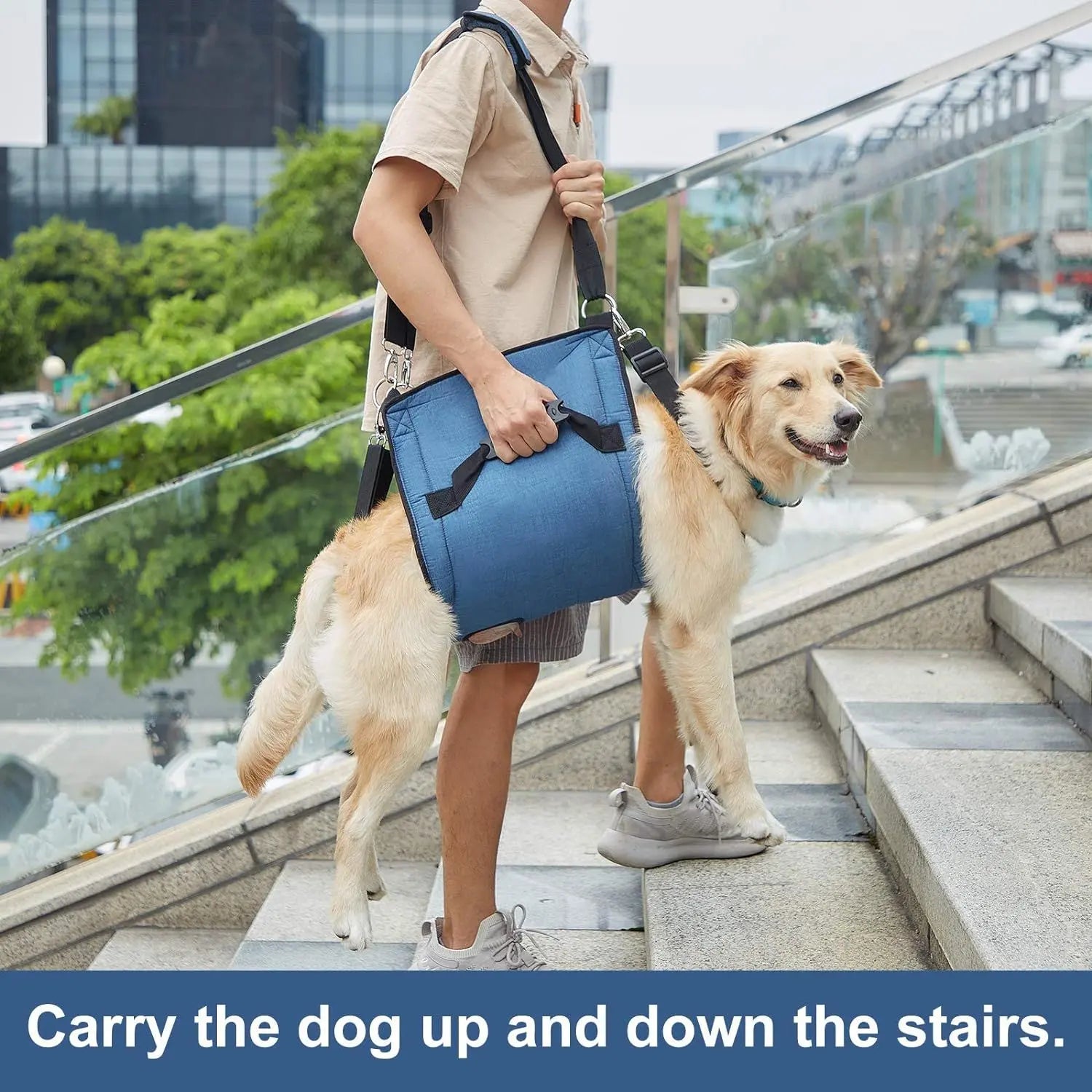 Dog Carry Sling, Emergency Backpack Pet Legs Support & Rehabilitation Dog Lift Harness for Nail Trimming, Dog Carrier for Senior Dogs Joint Injuries, Arthritis, Up and Down Stairs(L, Blue) Wholesale Hub