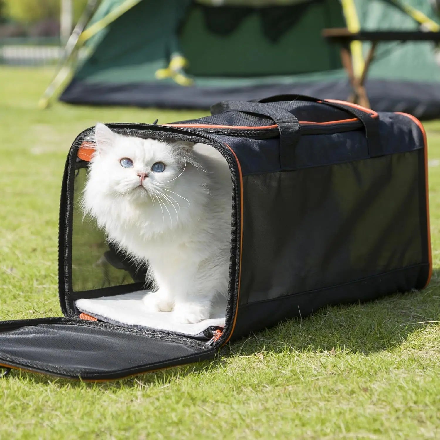 Cat Carriers for Large Cats 20 lbs+ Soft Pet Carrier for Small Dog/Durable 2 Kitty Travel Bag/Medium Big Cats Puppy 15 Pounds/Softside Cat Carrier Large(oniy bag) Wholesale Hub