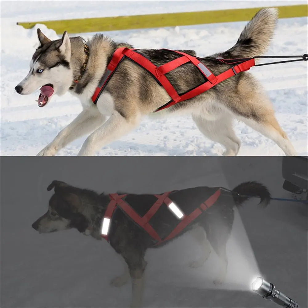 Dog Pulling Harness (XL, red)  Back Mushing Husky Harness for Sled Exercise, Pet Sledding, Bikejoring, Skijoring, Running, Scootering, for Average Sized Dog Wholesale Hub