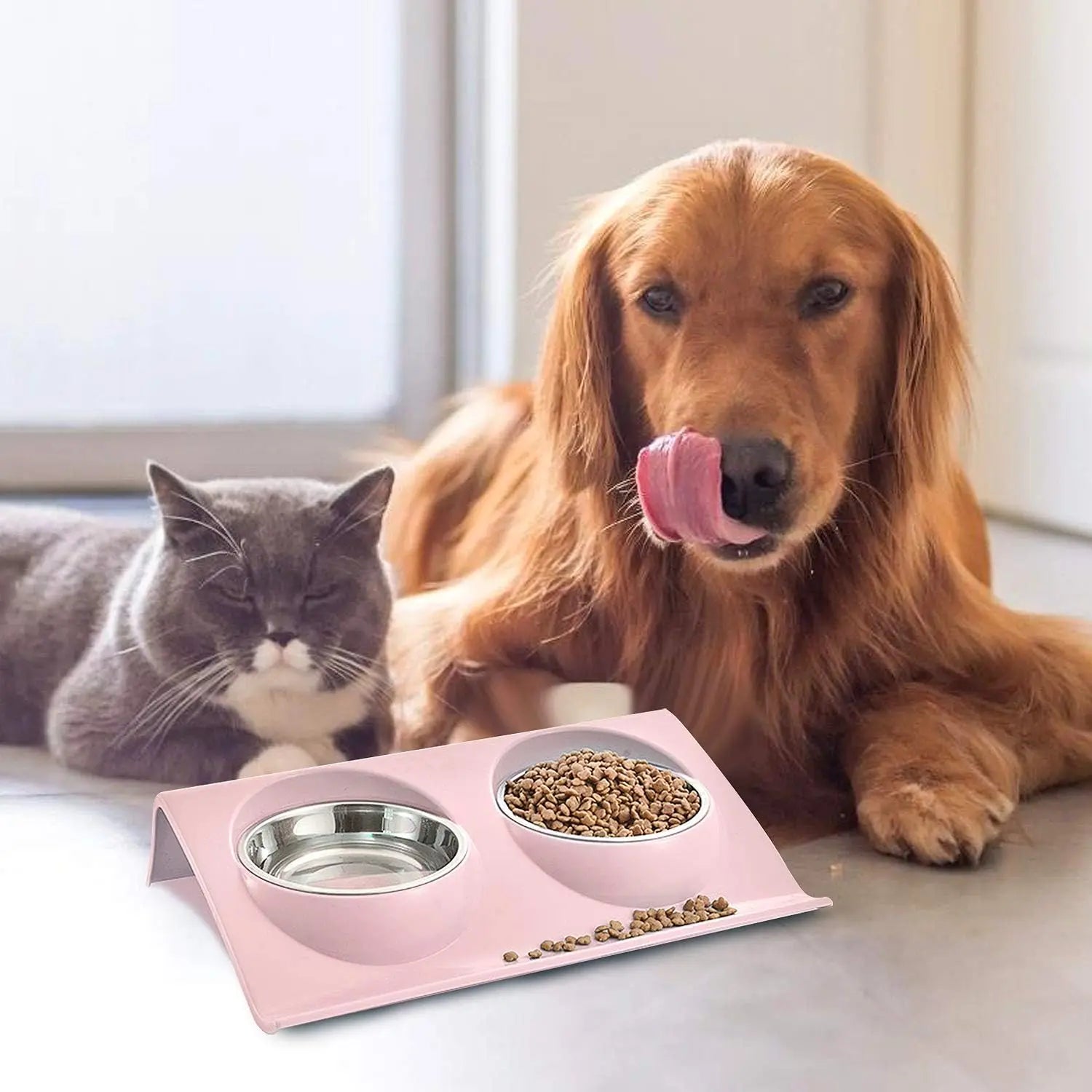 Cat food bowl, double cat food bowl, stainless steel cat bowl, non-slip, cat food bowls, stainless steel cat bowl set, cat food bowl Wholesale Hub