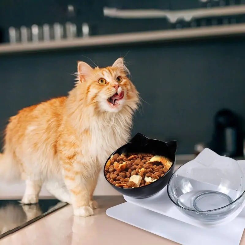 Double Cat Bowl, Cat Bowl, 15 Tilt Double Raised Cat Bowl, Double Bowl Pet Feeder with Raised Stand for Cats and Small Dogs Wholesale Hub