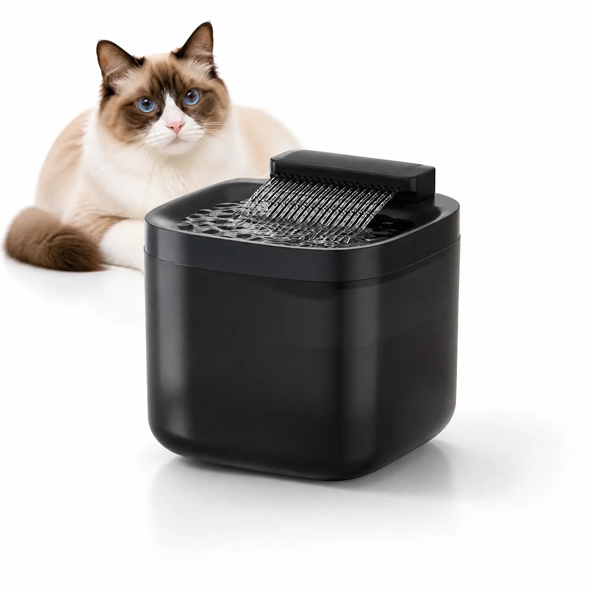 Black Cat Water Fountain 3L, Wired Pet Water Dispenser for Cats & Small Dogs, Waterfall-Style Quiet Drinking Fountain with Filter, Easy-Clean ABS+PP Bowl, 5V 1A Wholesale Hub