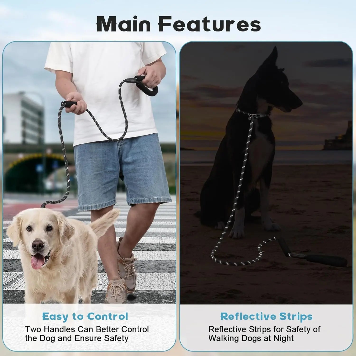 Dog Leash 6 FT with Comfortable Padded Handle, Training Loop Leash with Highly Reflective Threading for Medium Dogs, Black Wholesale Hub