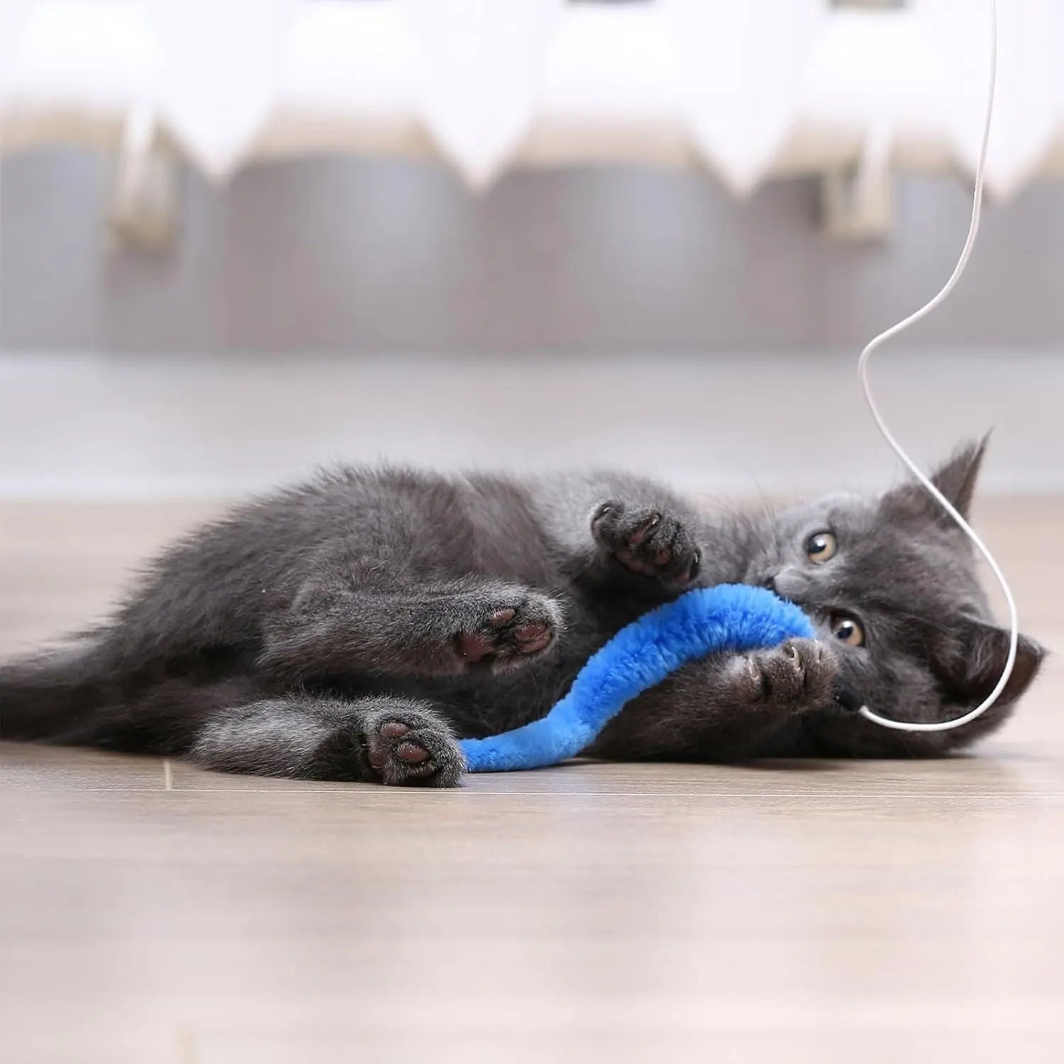 10 Packs Cat Worm Toys, Colorful Worm Cat Toy, Interactive Cats Wand Attachment Toys for Teaser Play and Chase Exercise with Kitten Wholesale Hub