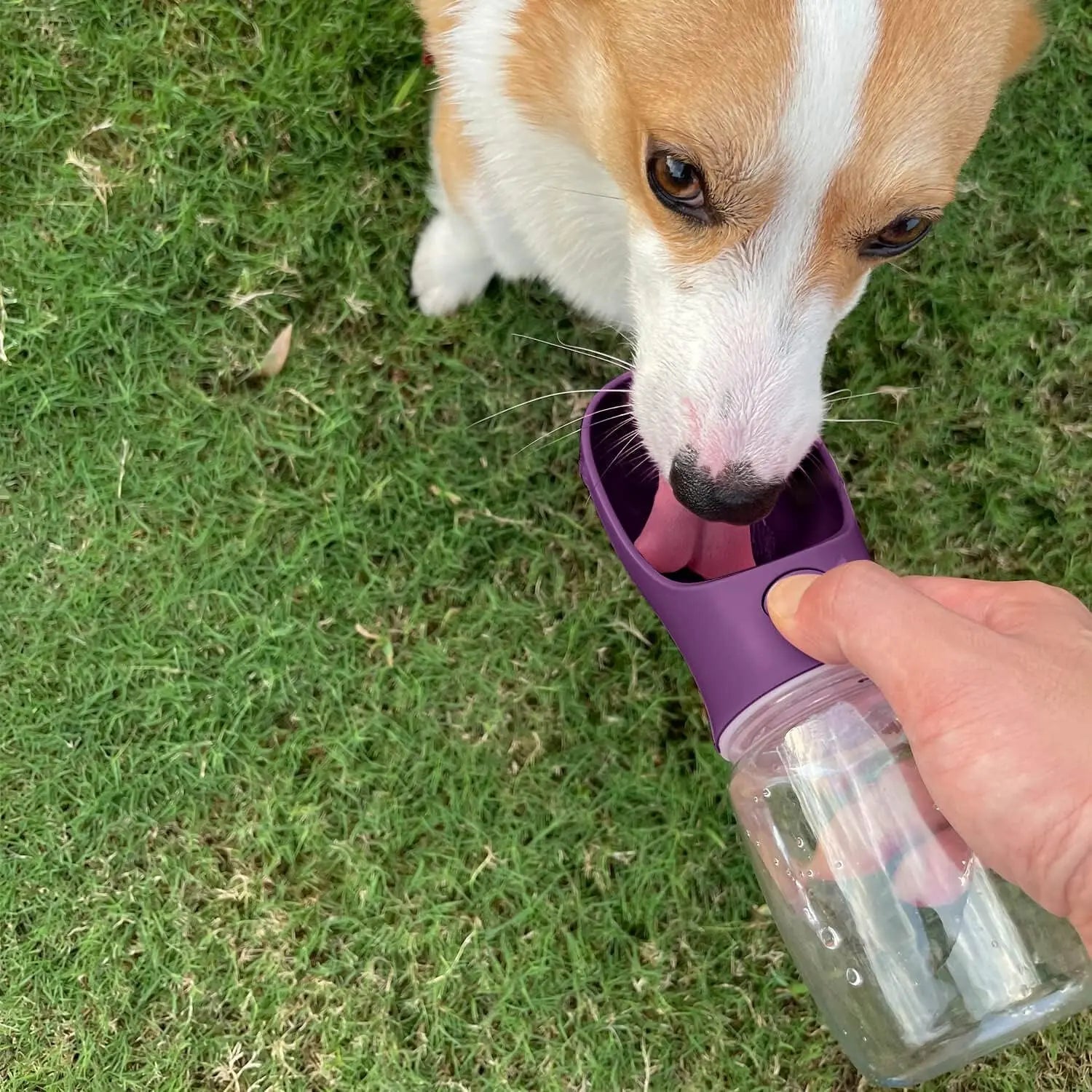 Portable Dog Water Bottle with Food Container, 19 OZ + 6 OZ, Leak Proof Puppy Water Dispenser with Drinking Feeder for Pets Outdoor Walking, Hiking, Travel, Food Grade Plastic Wholesale Hub